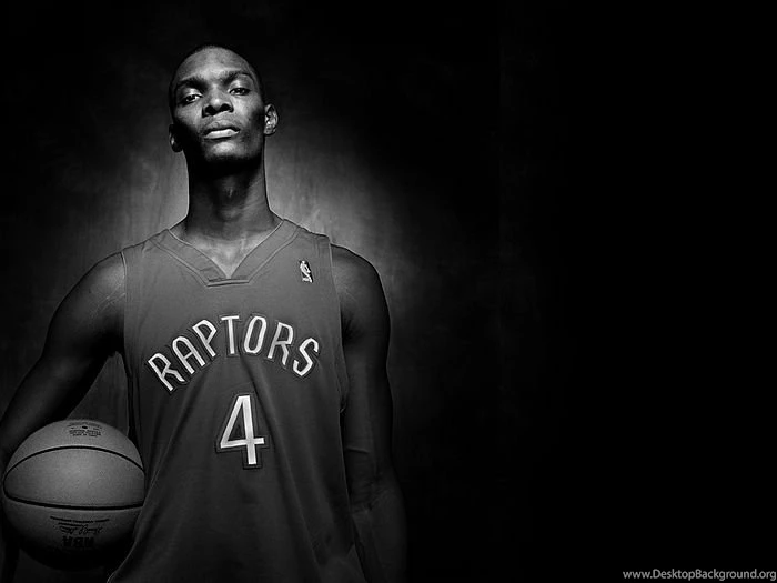 NBA Toronto Raptors NO.4 Chris Bosh Pictures 8 Wallcoo.net