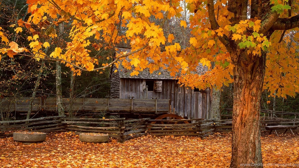 Autumn Season HD Wallpapers