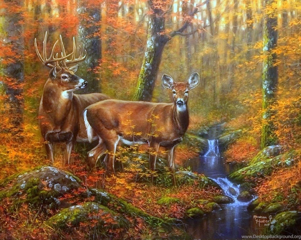 Autumn Couple Nature Trees Forests Attractions Dreams Paintings ...