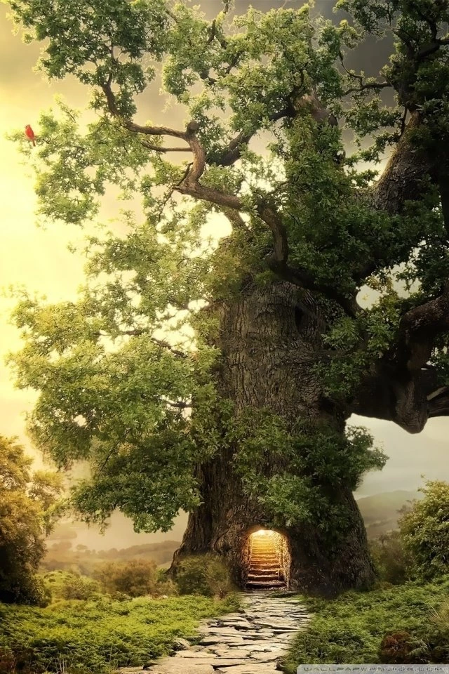 Tree House HD Desktop Wallpapers : Fullscreen