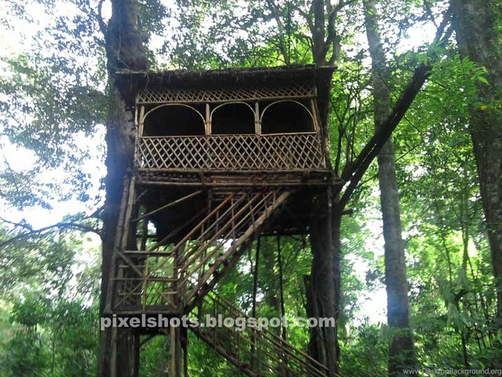 Houses: Treehouse Rainforest Envious Amazon Personal Wallpapers ...