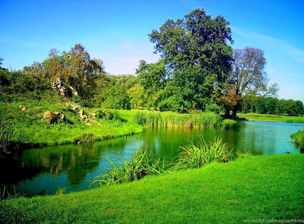 Get Beautiful Screensavers Free Today!: Beautiful By Free Download ...