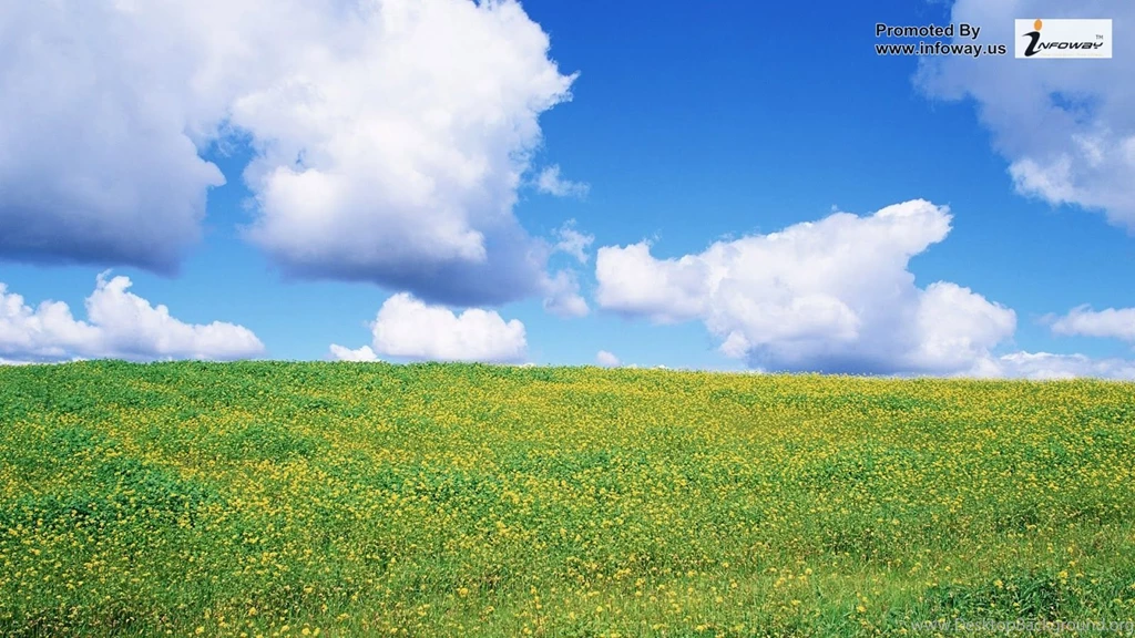 Beautiful Landscape Scenery Photo 314 Of 395