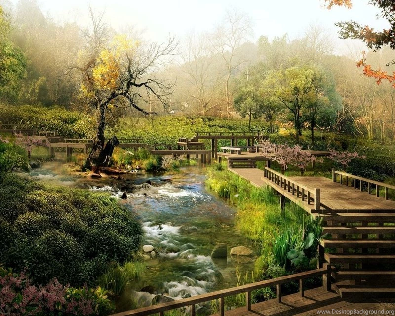 Beautyfull Flowers Wild Garden – Nature Other HD Desktop Wallpapers