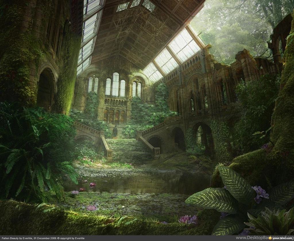 Old And Beautyfull   (