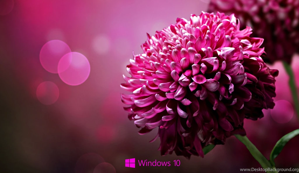 Windows 10 Wallpapers STAY1014