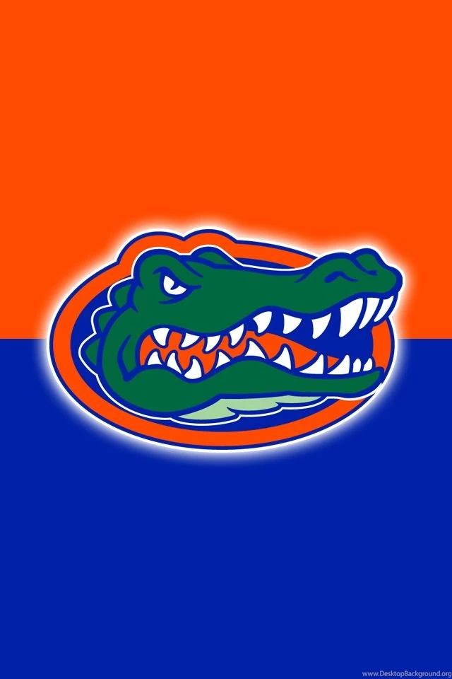 Florida Gators On Pinterest
