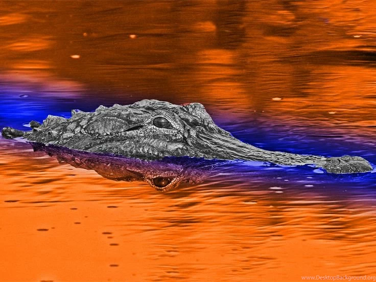 Projects To Try On Pinterest