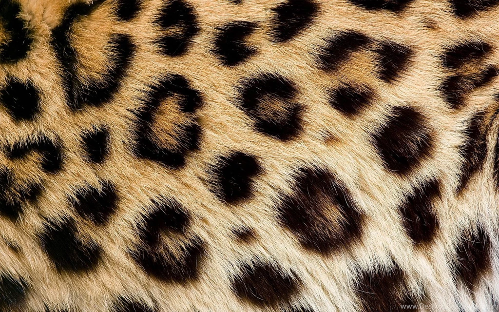 Animals Page 472
