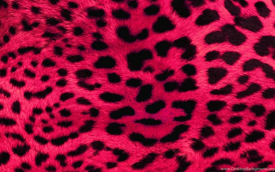 Pink Leopard Print Wallpapers By Angeldust On DeviantArt