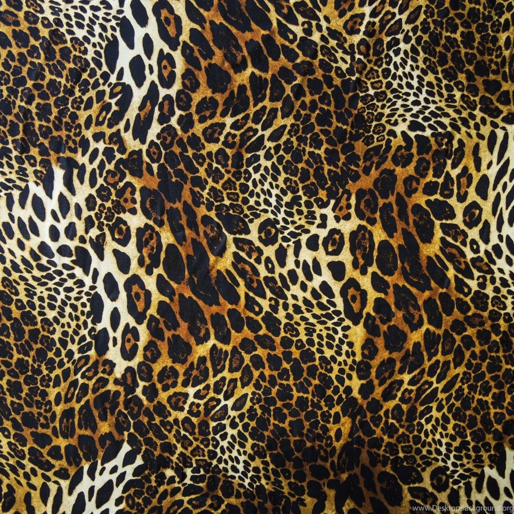 Download Wallpapers Texture, Leopard, Fur, Wool, Skin, Textures ...