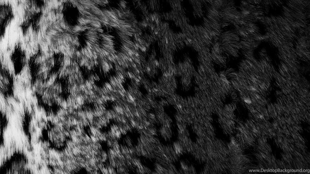 Leopard Skin Hd Wallpapers (