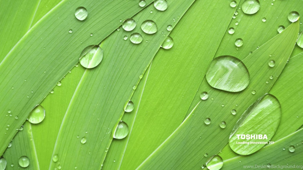 Movies Toshiba Blu Ray (id: 200169) – BUZZERG