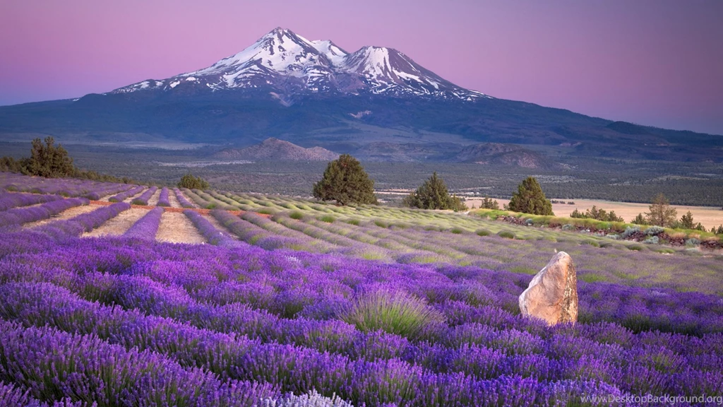 Beautiful Scenery Wallpapers HD Pictures