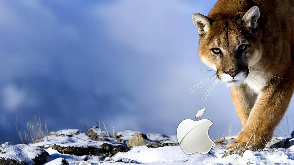 Snow Leopard Apple, Mac, Animals, 1920x1080 HD Wallpapers And FREE ...
