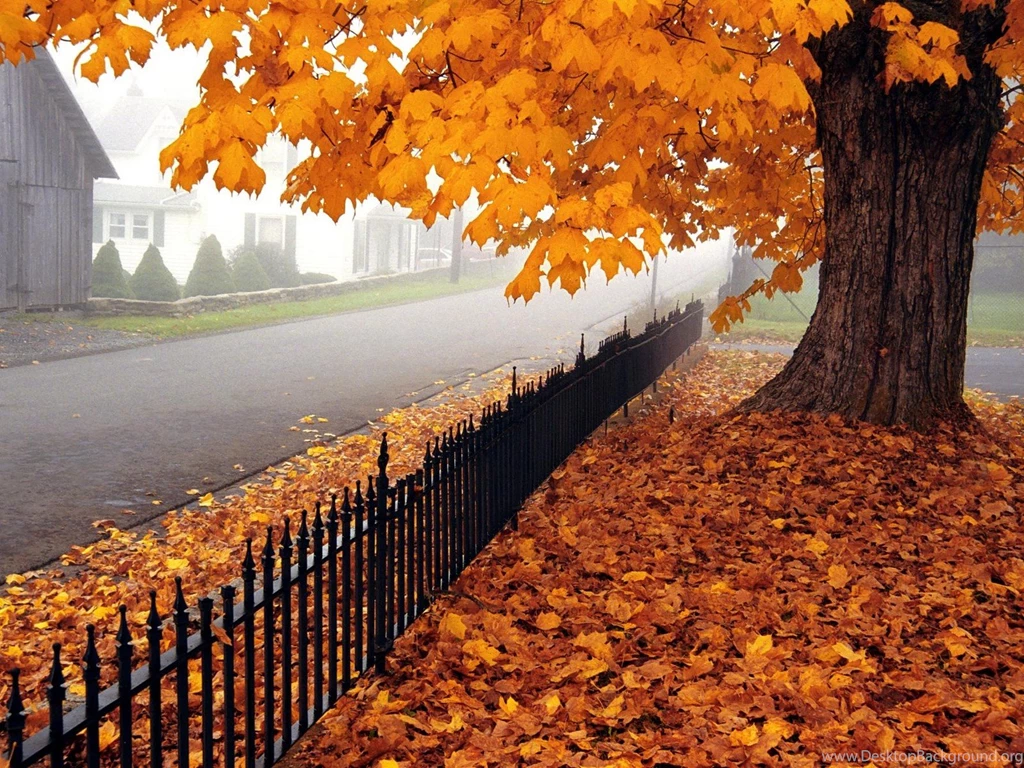 Nature Wallpapers For Desktop Backgrounds Full Screen – Valentine ...