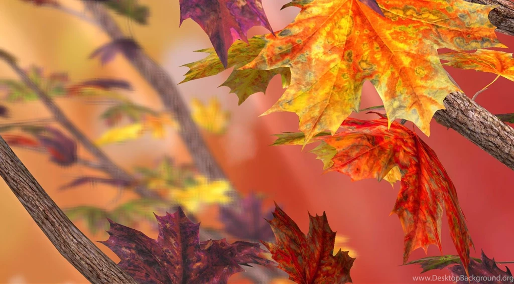 Top 11 Autumn Live Wallpapers For Android