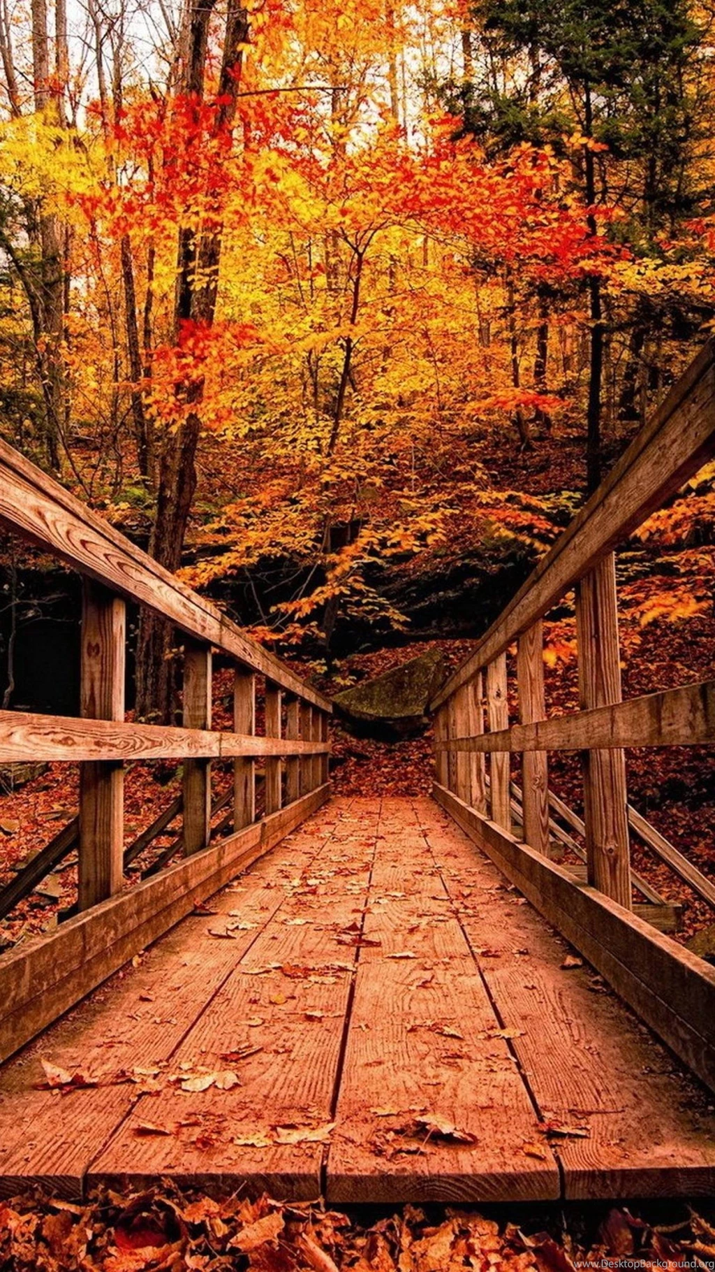 Wood Bridge In Autumn Forest   Best HD Wallpapers For iPhone And ...