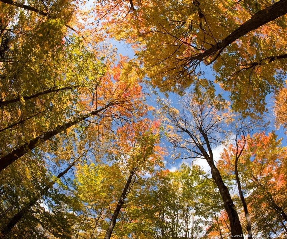 HD Android Wallpapers Img 16