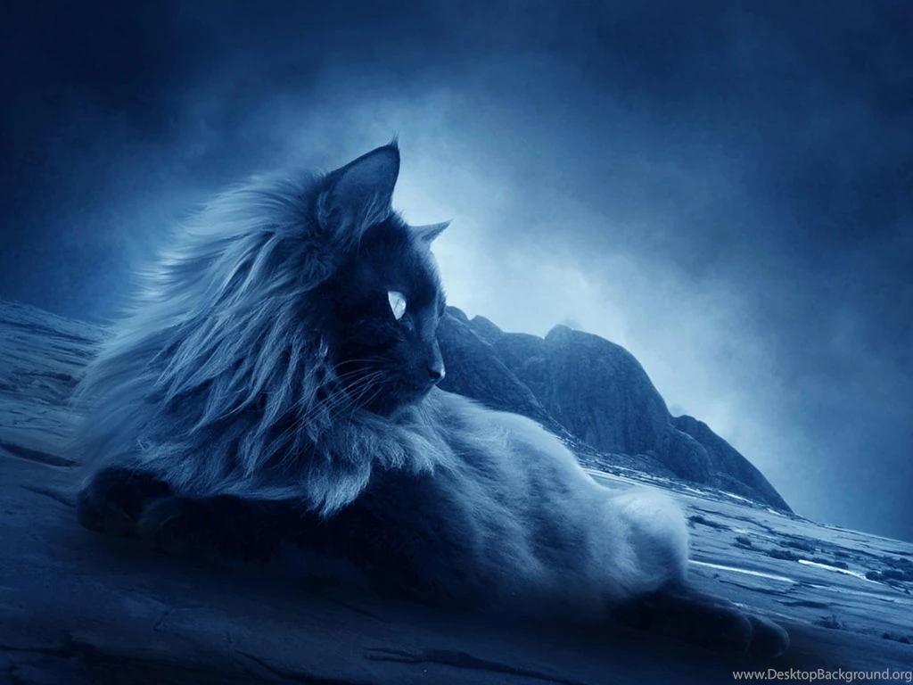 Www.wallpapereast.com Wallpapers HD Page 3