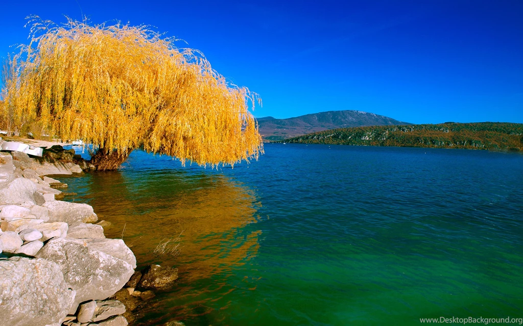 50+ Nature Wallpapers HD For Free Download