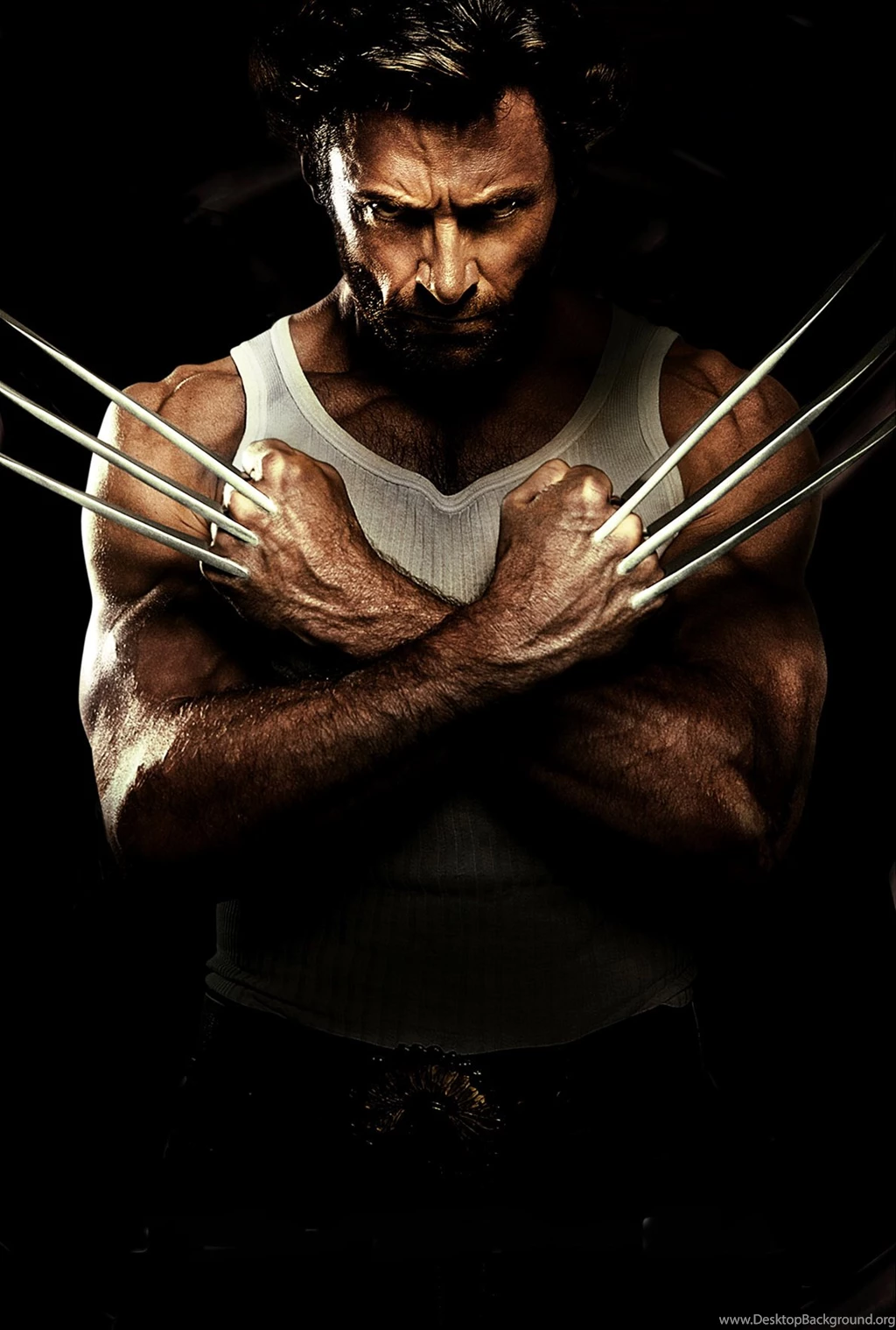 Wolverine w1191 hotsell