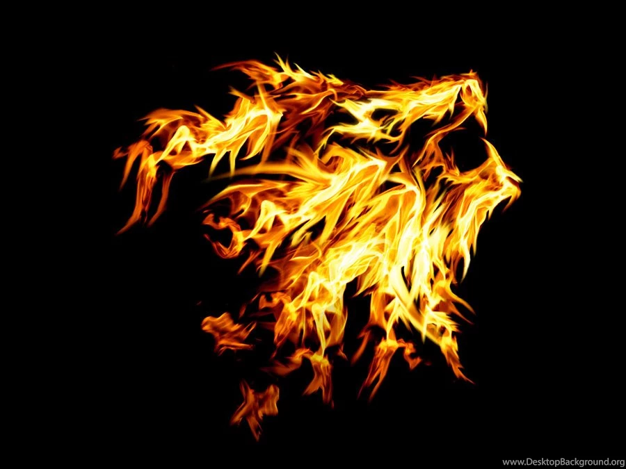 Jestingstock.com Animated Fire Lion Wallpapers