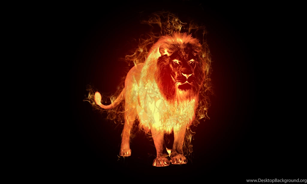 Fire Lion   Bing Images