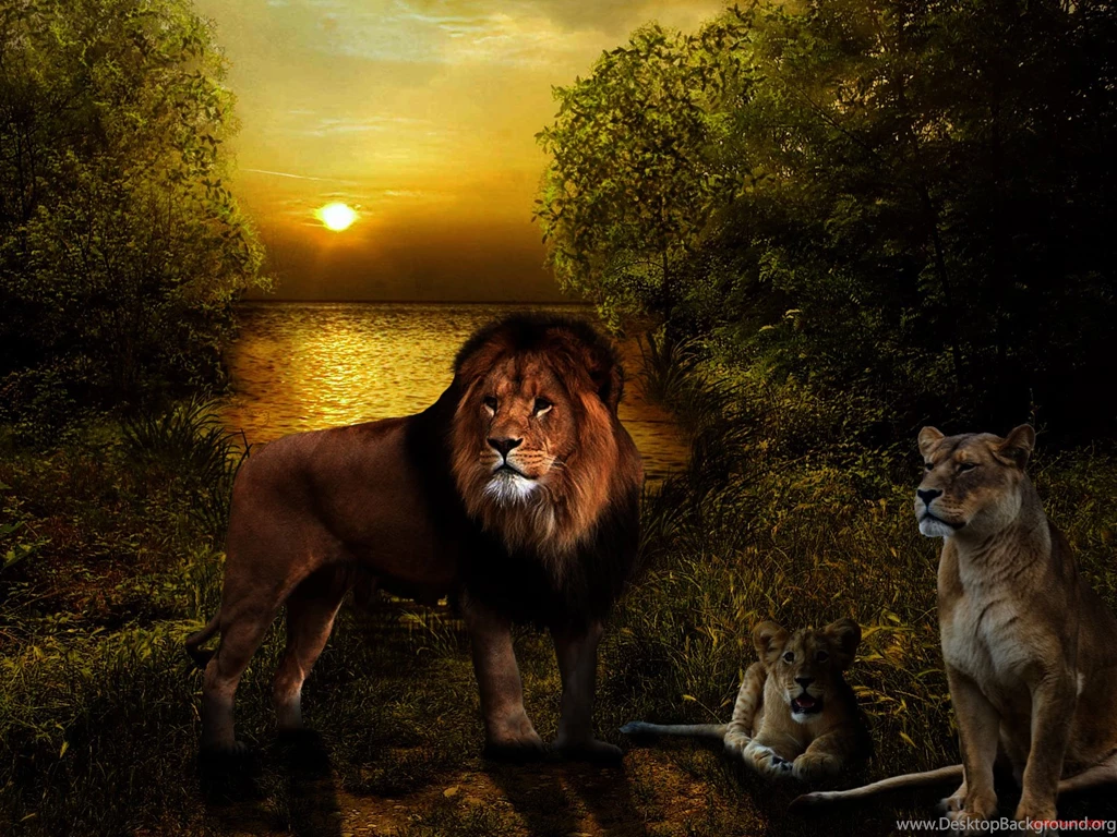 35+ Beautiful Lion Wallpapers For Desktop Backgrounds