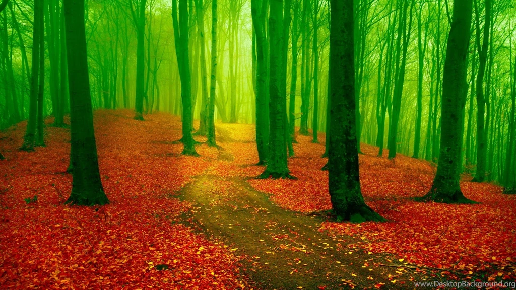 Macbook 15" Retina Wallpapers Page 22: Rose Red Black Flower Image ...