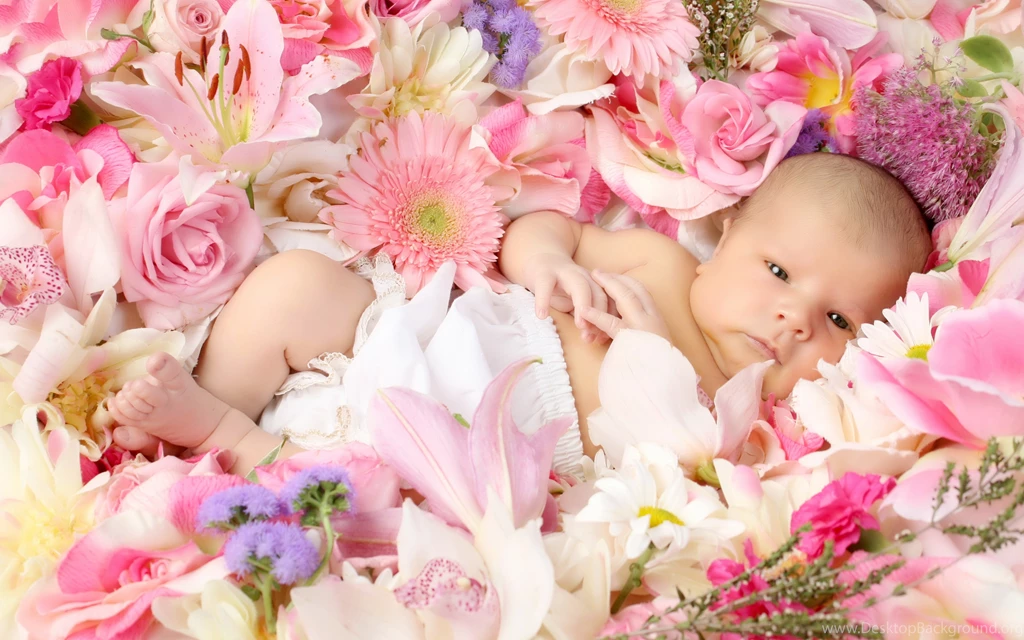 324 Baby HD Wallpapers