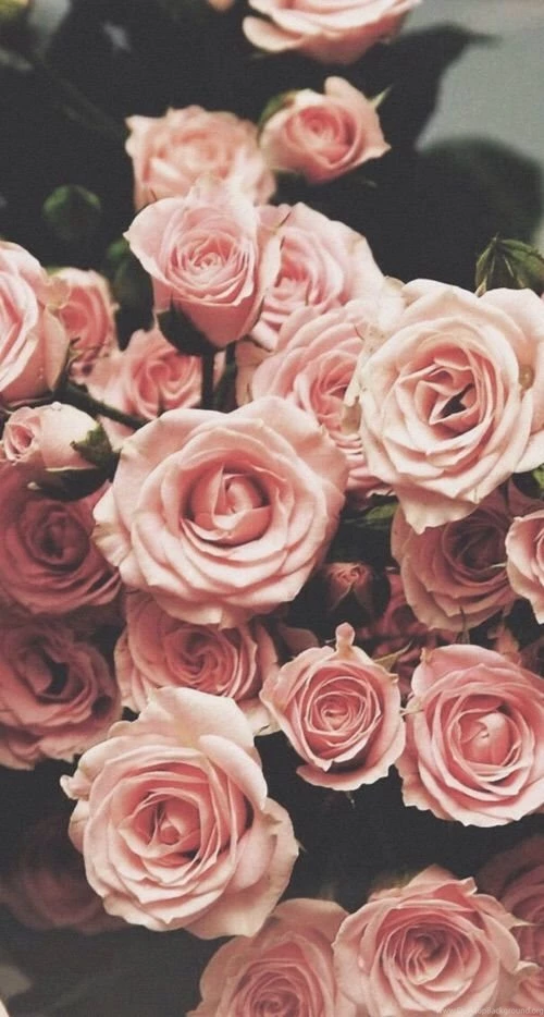 Image Via We Heart It Https://weheartit.com/entry/153495771