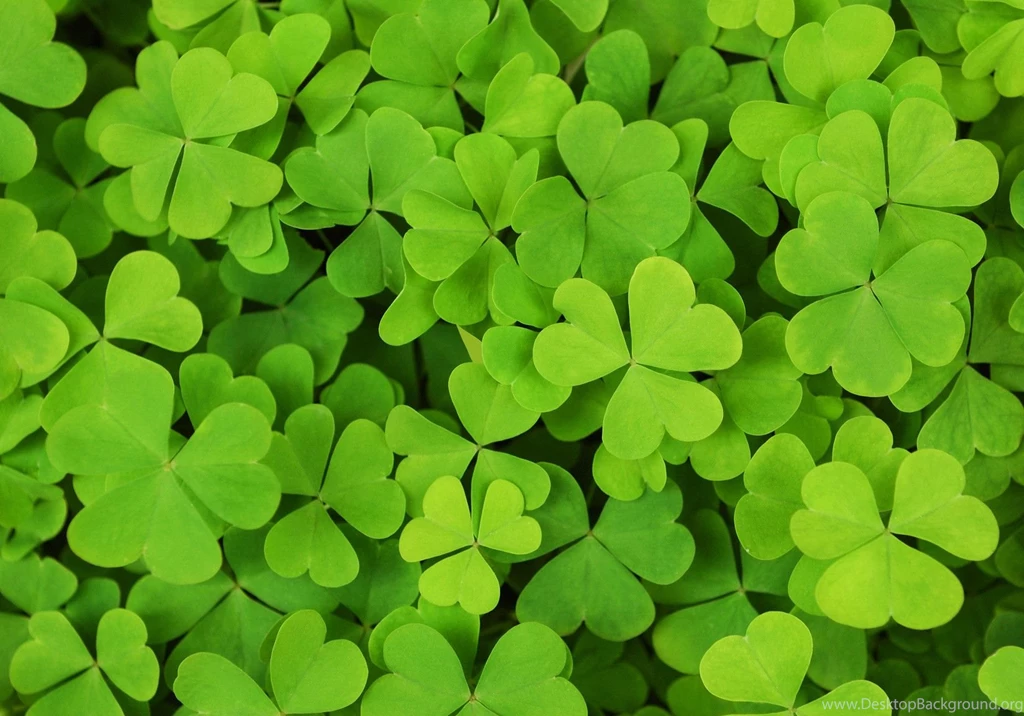 Shamrock Backgrounds Free Wallpapers Cave