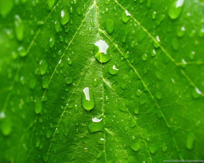 50 Beautiful Rain Wallpapers For Your Desktop Part 2