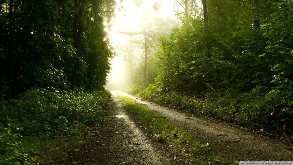 Free After Rain Wallpapers