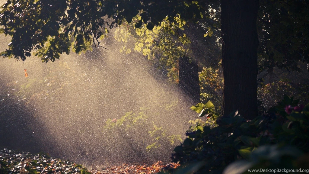 Rain Hd Wallpapers