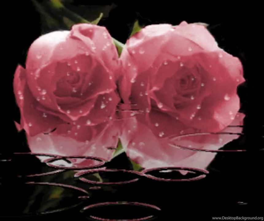 Flowers Backgrounds, Textures, Wallpapers And Background Images