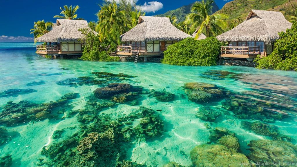 Summer Beach Paradise Wallpaper Free Desktop