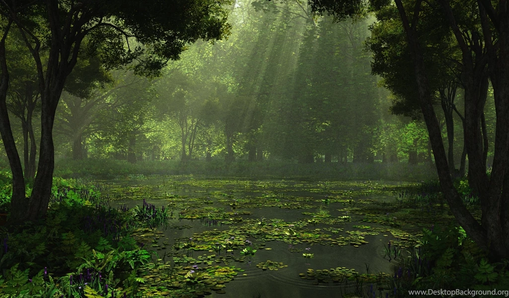 Nature Landscapes Rain High Quality Desktop Wallpapers ...