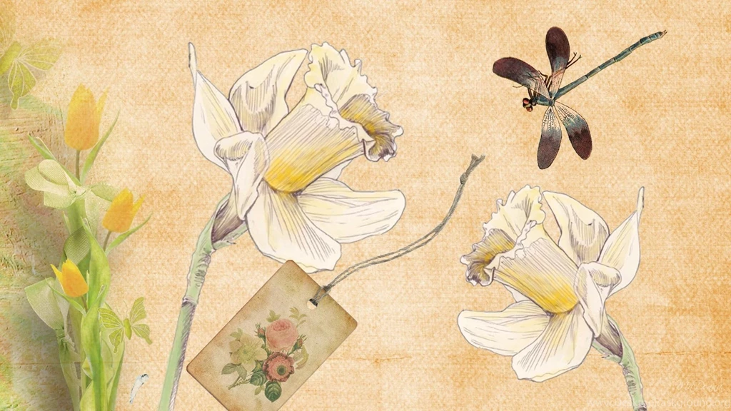 Daffodils Dragonfly >> HD Wallpaper, Get It Now!