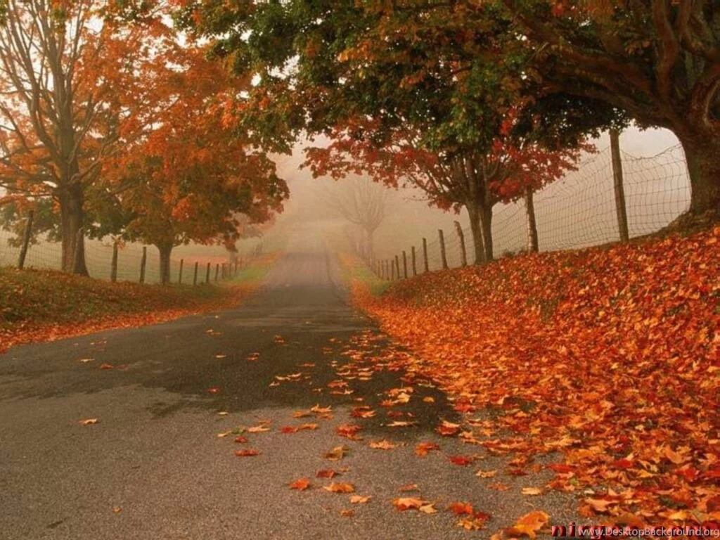 Wallpapers Hd F5