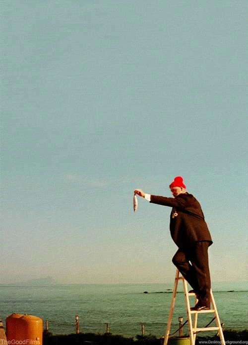 Anigif_enhanced buzz 28265 1409957741 27.gif