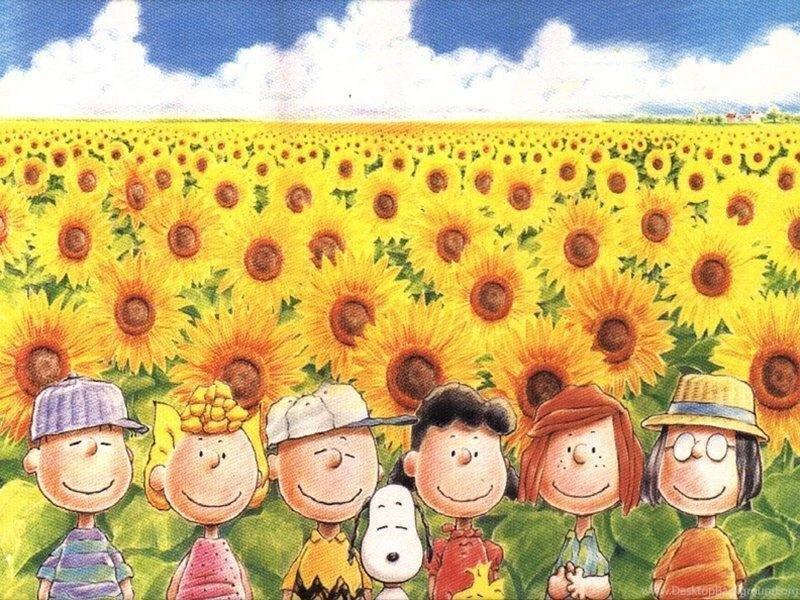 Peanuts In Sunflower Meadow Peanuts Wallpapers (6273371) Fanpop