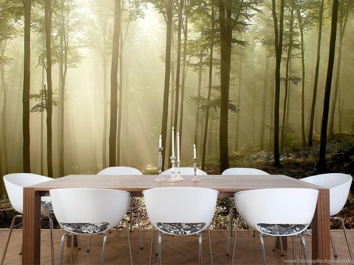 Scenic Wall Murals And The Real You   Wallpapers Mural Ideas