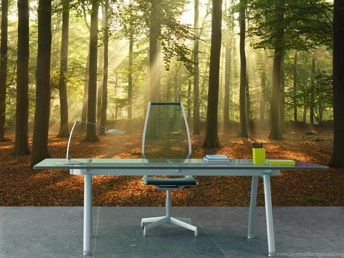 Enhancing The Natural Essence To Your House With Wall Murals ...