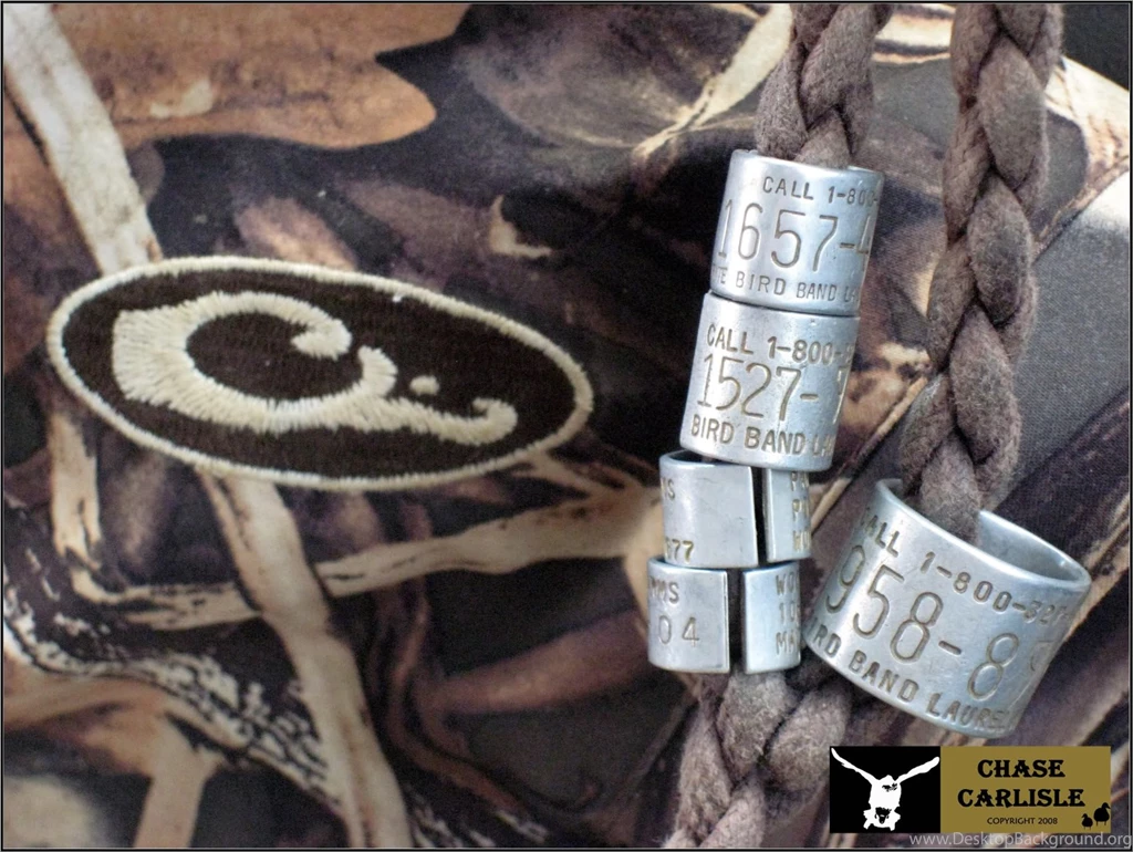 Jestingstock.com Drake Waterfowl Wallpapers