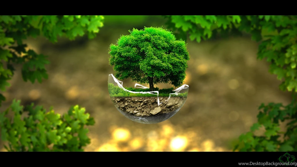 Tree Manipulation, Photoshop, Wallpapers Size (This Was A Tutorial ...