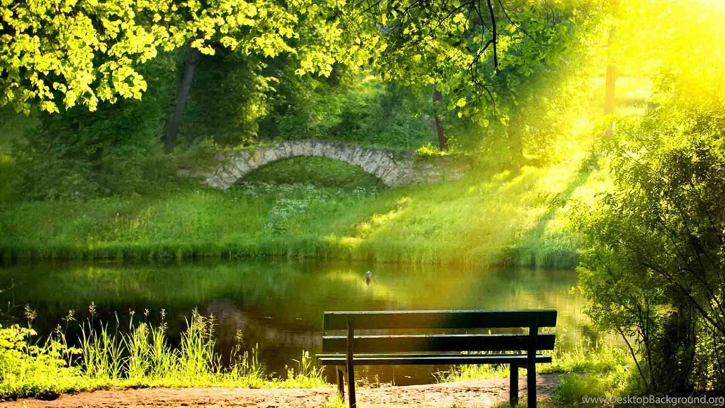 Morning Shine Latest HD Wallpapers Free Download