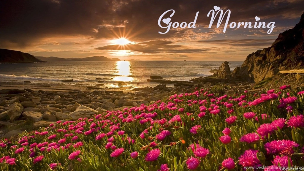 Good Morning Wallpapers