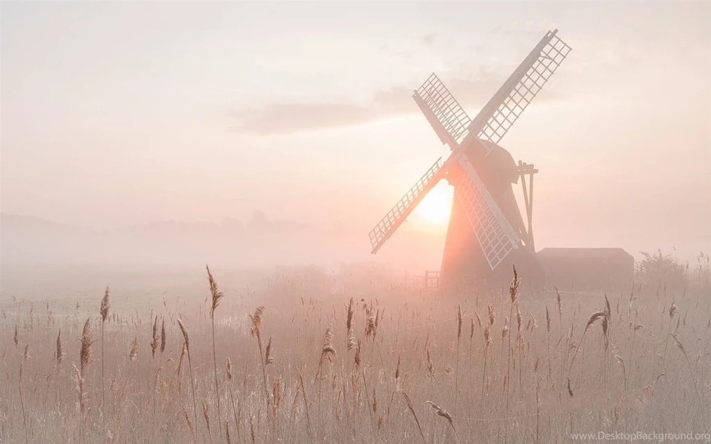 Other: Quiet Misty Morning Nature Windmills Frost 1440 900 HD ...